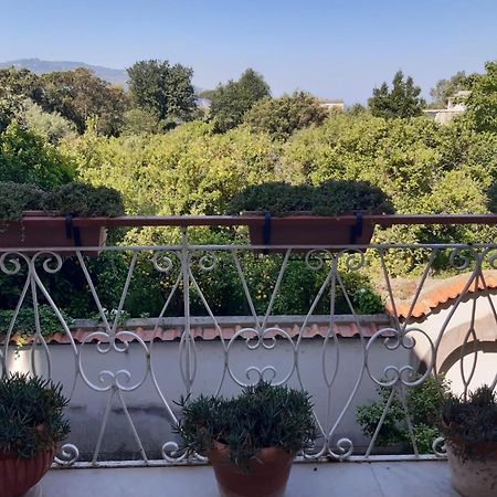 La Casa Di Rosa - Casa Vacanze Meta Ngoại thất bức ảnh