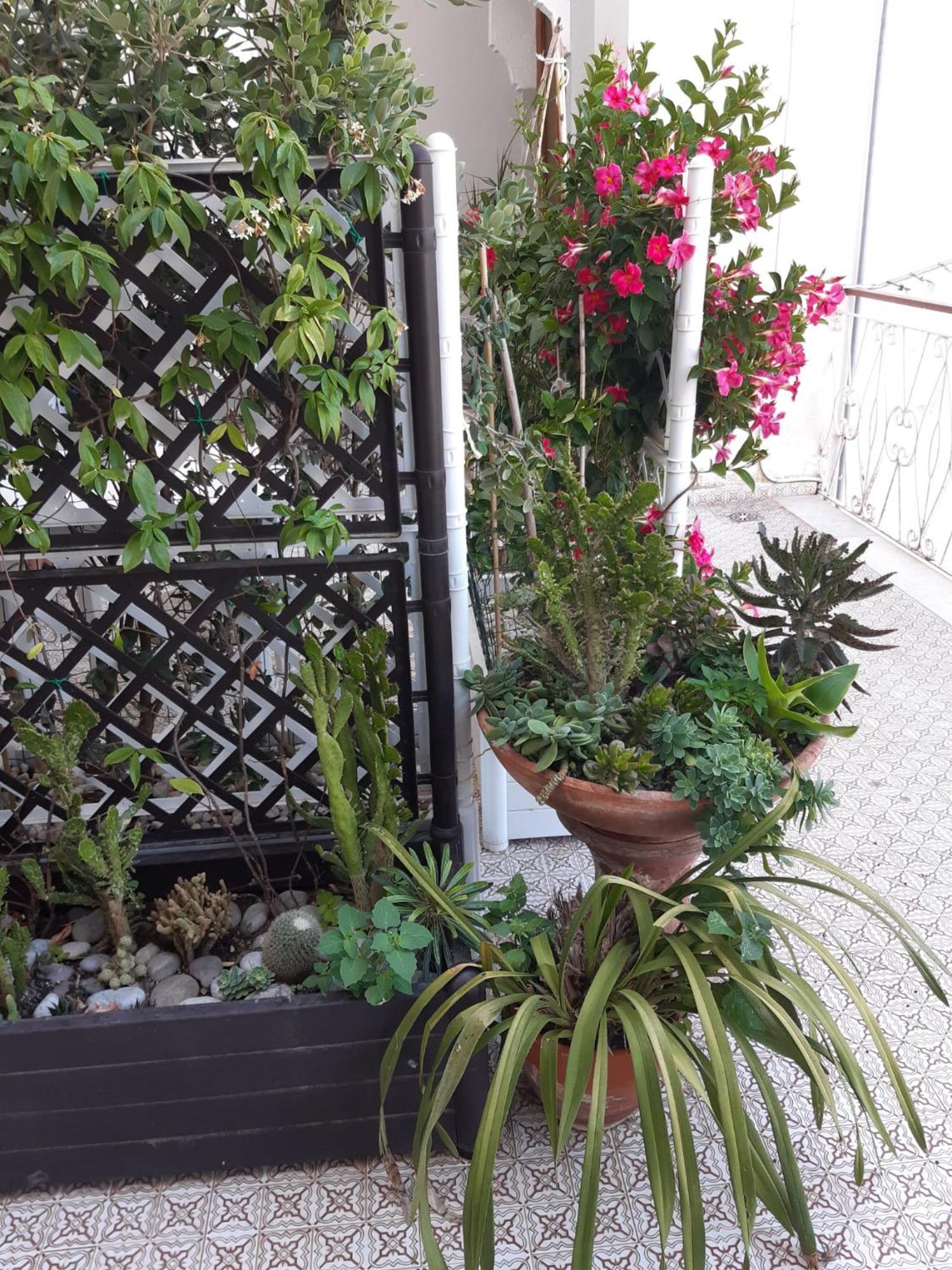 La Casa Di Rosa - Casa Vacanze Meta Ngoại thất bức ảnh
